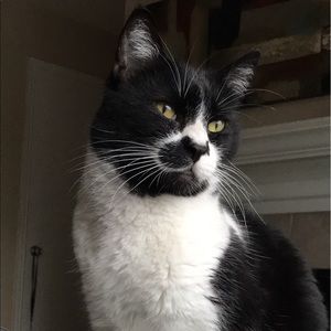 Meet your Posher, Shannon